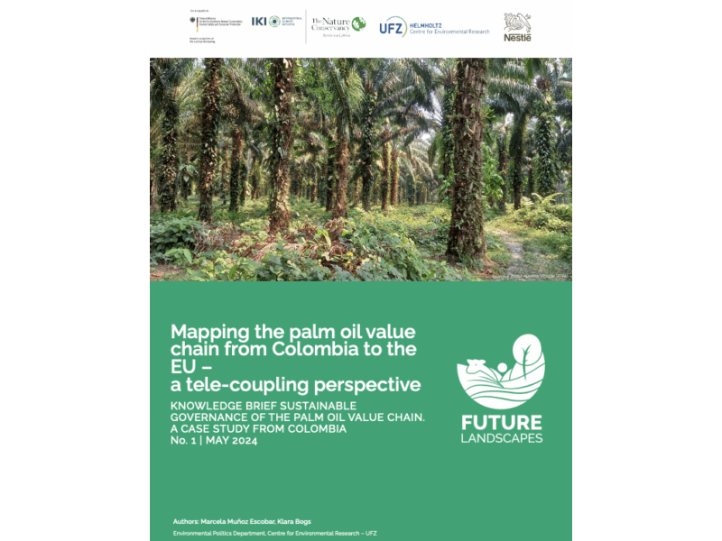 Mapping the palm oil value chain from Colombia to the EU – a tele-coupling perspective