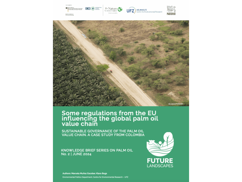 Some regulations from the EU influencing the global palm oil value chain