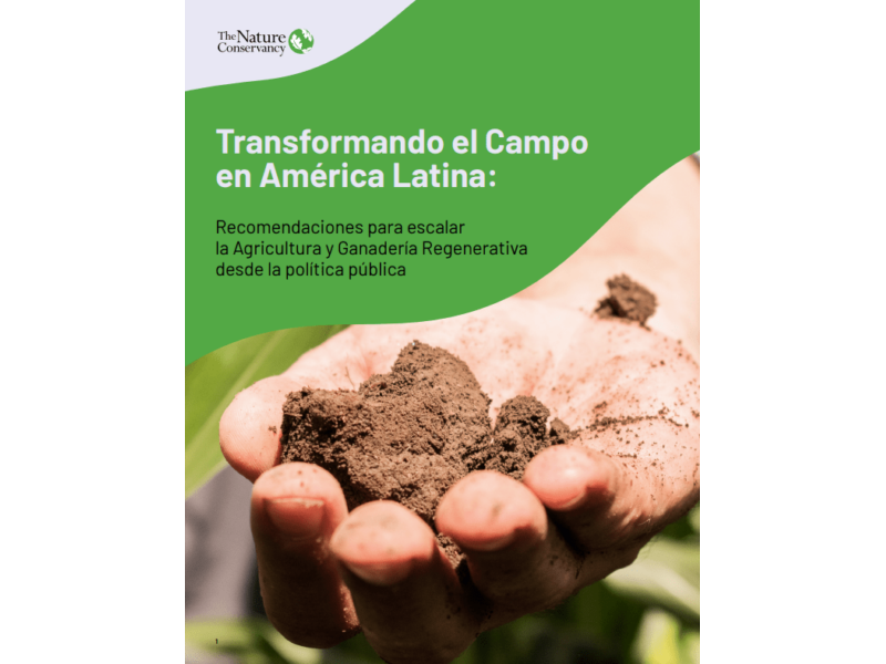 Transformando el Campo en América Latina: Recomendaciones para escalar la Agricultura y Ganadería Regenerativa desde la política pública.
